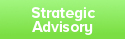 Strategic Advisory