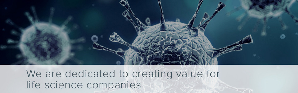 960x300_Dedicated415