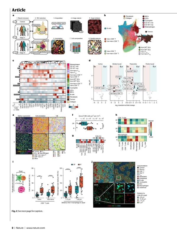 NATURE Paper - Published 9.9.26 - Apeximmune - Page 2