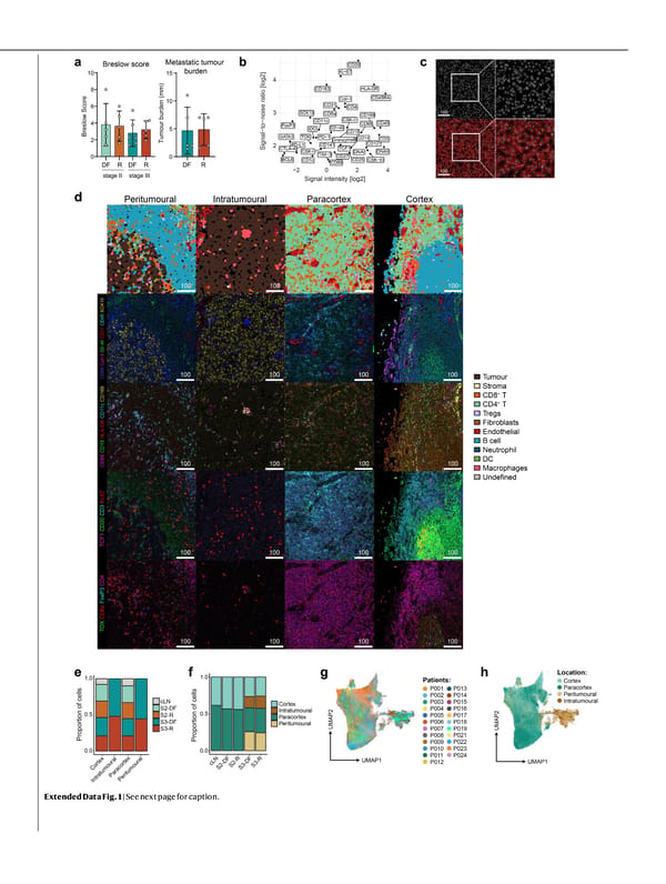 NATURE Paper - Published 9.9.26 - Apeximmune - Page 19